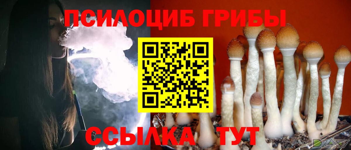 Псилоцибиновые грибы ЛСД  где найти   Королёв  Вход с VPN  Псилоцибиновые грибы Psilocybe 