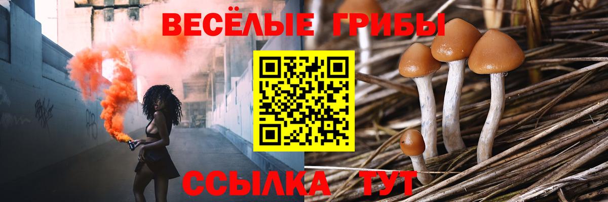 Галлюциногенные грибы GOLDEN TEACHER Королёв